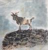 gallery/Members_Paintings/Amy_Walton/_thb_Goat2.jpg