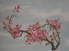 gallery/Members_Paintings/Brian_Williams/_thb_peach_blossombwaa.jpg