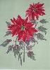 gallery/Members_Paintings/Brian_Williams/_thb_poinsettia.jpg