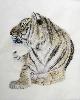 gallery/Members_Paintings/Charles_Mellor/_thb_Tiger_Charles_Mellor.jpg