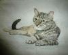 gallery/Members_Paintings/Dorothy_Jessop/_thb_Cat_dorothyjessopaa.jpg