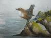 gallery/Members_Paintings/Edith_Tunstall/_thb_dippers_aajpg.jpg