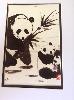 gallery/Members_Paintings/Eileen_Barr/_thb_pandas.jpg