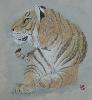 gallery/Members_Paintings/Elizabeth_Greenhalgh/_thb_Elizabeth_s_tiger.jpg