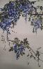 gallery/Members_Paintings/Fiona_Carroll/_thb_wisteria%2012.jpg