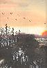 gallery/Members_Paintings/Howard_Asher/_thb_Chinese_sunset.jpg