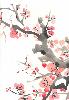 gallery/Members_Paintings/Howard_Asher/_thb_chineseblossom_1.jpg