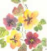 gallery/Members_Paintings/Howard_Asher/_thb_pansies.jpg