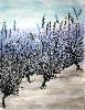 gallery/Members_Paintings/Ian-Davidson/_thb_Lavender_field_A.sized.jpg