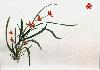 gallery/Members_Paintings/Ian-Davidson/_thb_miniorchid.jpg