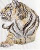 gallery/Members_Paintings/Jean_Beever/_thb_jean_s_tiger.jpg