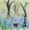 gallery/Members_Paintings/Jill_Eastwood/_thb_Badger%20in%20a%20bluebell%20wood%20je.jpg