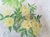 gallery/Members_Paintings/Kathie_Sharman/_thb_Kathys%20rosesaa.jpg