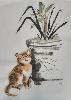 gallery/Members_Paintings/Liz_Colbeck/_thb_cats%20lizcolbeck1.jpg