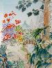 gallery/Members_Paintings/Manchula_Foulkes/_thb_JapaneseGdn.jpg