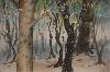 gallery/Members_Paintings/Nick_Hornigold/_thb_spring_wood_1.sized.jpg