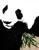 gallery/Members_Paintings/Richard_Sauve/_thb_Da%20Mao%20Panda%20Sold.jpg