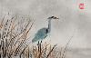 gallery/Members_Paintings/Richard_Sauve/_thb_Heron%20at%20the%20Marsh%20400px.jpg