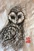 gallery/Members_Paintings/Sarah_Frost/_thb_02%20Owl.jpg