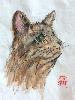 gallery/Members_Paintings/Sarah_Frost/_thb_10%20Ginger%20Tabby.jpg