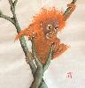 gallery/Members_Paintings/Sarah_Frost/_thb_21%20Baby%20Orangutan.jpg