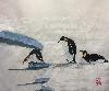 gallery/Members_Paintings/Sarah_Frost/_thb_23%20Sliding%20Penguins.jpg