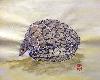 gallery/Members_Paintings/Sarah_Frost/_thb_24%20Pangolin.jpg